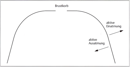 inhalation and exhalation diagram. Diagram of Breathing Activity